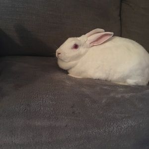 Meet your Posher, Stacy